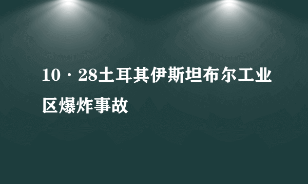 10·28土耳其伊斯坦布尔工业区爆炸事故