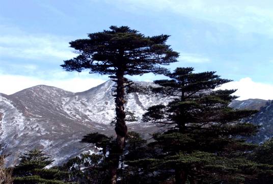 苍山（山东省临沂市临沭县山峰）