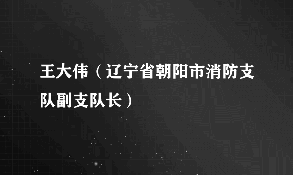 王大伟（辽宁省朝阳市消防支队副支队长）