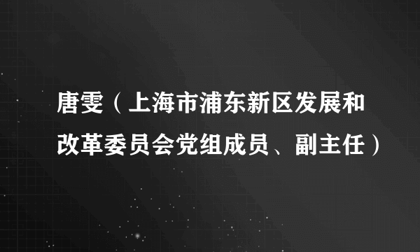 唐雯（上海市浦东新区发展和改革委员会党组成员、副主任）