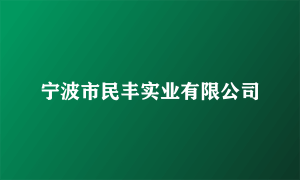 宁波市民丰实业有限公司