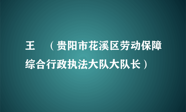 王璠（贵阳市花溪区劳动保障综合行政执法大队大队长）