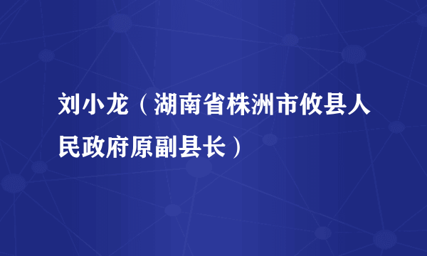 刘小龙（湖南省株洲市攸县人民政府原副县长）