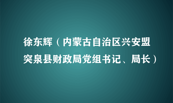 徐东辉（内蒙古自治区兴安盟突泉县财政局党组书记、局长）