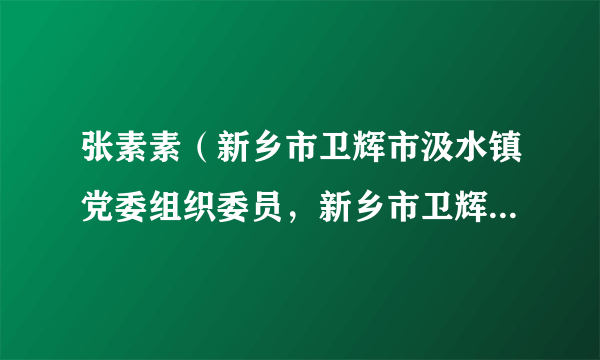 张素素（新乡市卫辉市汲水镇党委组织委员，新乡市卫辉市汲水镇下园村驻村第一团支部书记）