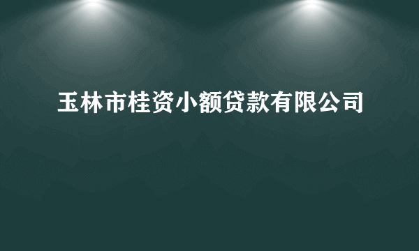 玉林市桂资小额贷款有限公司