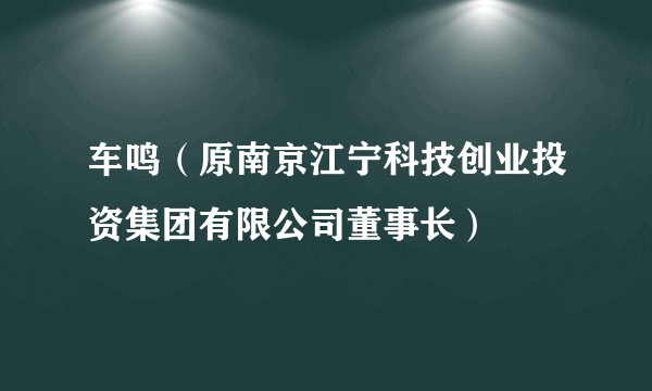 车鸣（原南京江宁科技创业投资集团有限公司董事长）