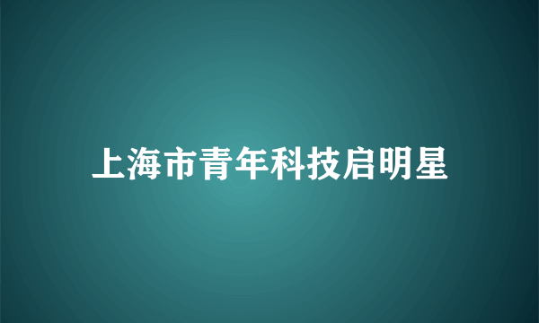 上海市青年科技启明星