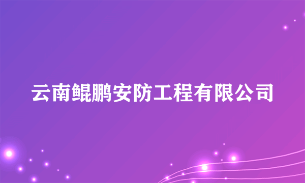 云南鲲鹏安防工程有限公司