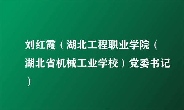 刘红霞（湖北工程职业学院（湖北省机械工业学校）党委书记）