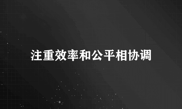 注重效率和公平相协调