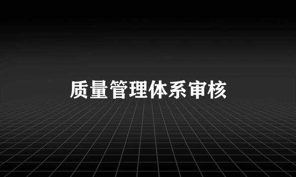 质量管理体系审核