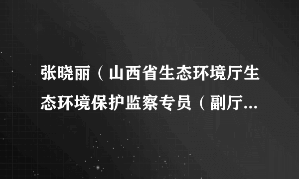 张晓丽（山西省生态环境厅生态环境保护监察专员（副厅长级））