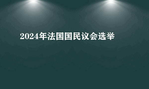 2024年法国国民议会选举