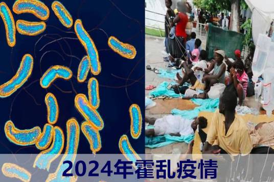 2024年霍乱疫情