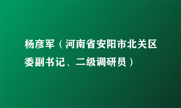 杨彦军（河南省安阳市北关区委副书记、二级调研员）