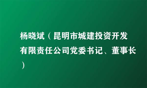 杨晓斌（昆明市城建投资开发有限责任公司党委书记、董事长）