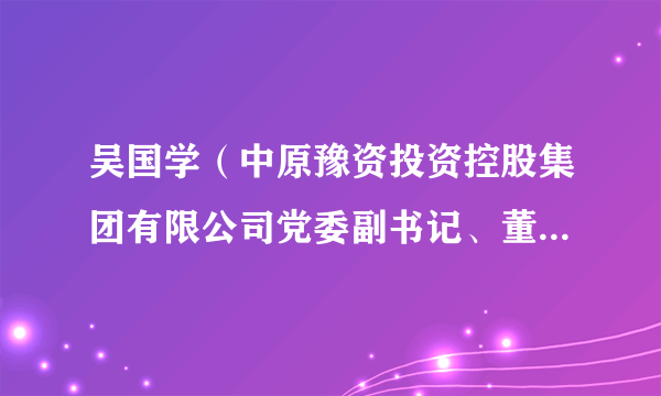 吴国学（中原豫资投资控股集团有限公司党委副书记、董事，河南省新材料投资集团有限公司董事长）