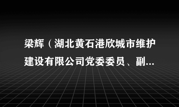 梁辉（湖北黄石港欣城市维护建设有限公司党委委员、副总经理）