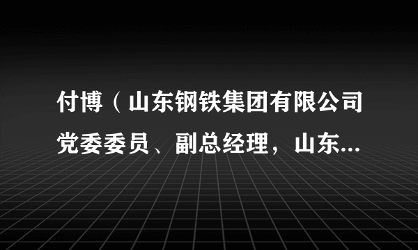 付博（山东钢铁集团有限公司党委委员、副总经理，山东钢铁集团矿业有限公司党委书记、董事长）