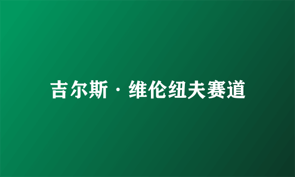 吉尔斯·维伦纽夫赛道