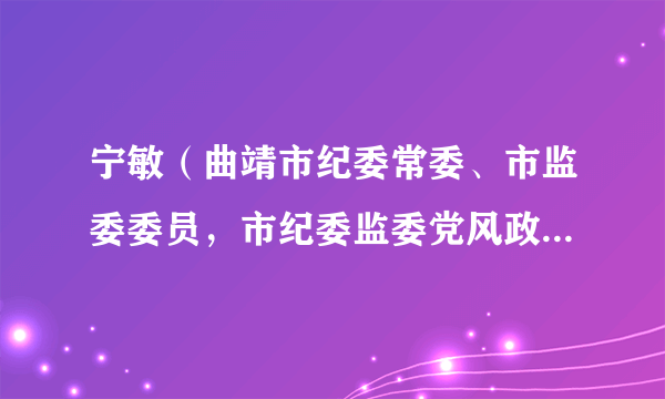 宁敏（曲靖市纪委常委、市监委委员，市纪委监委党风政风监督室主任、四级高级监察官）