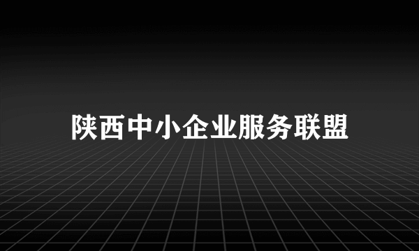 陕西中小企业服务联盟