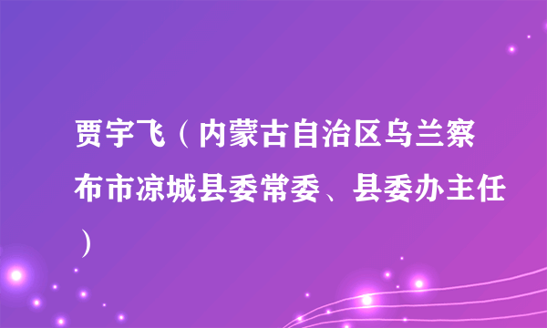 贾宇飞（内蒙古自治区乌兰察布市凉城县委常委、县委办主任）