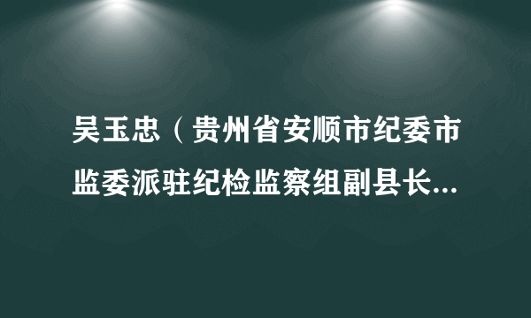 吴玉忠（贵州省安顺市纪委市监委派驻纪检监察组副县长级专职纪检监察员）