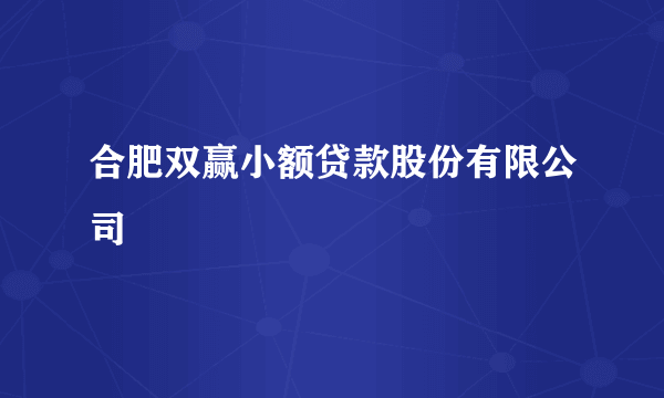 合肥双赢小额贷款股份有限公司