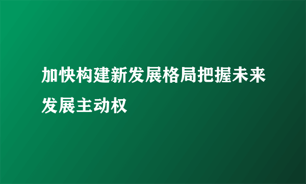 加快构建新发展格局把握未来发展主动权