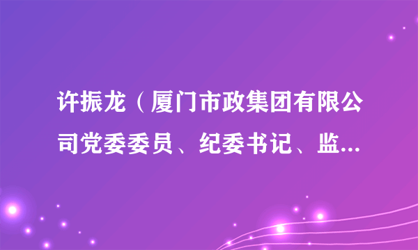 许振龙（厦门市政集团有限公司党委委员、纪委书记、监察专员）