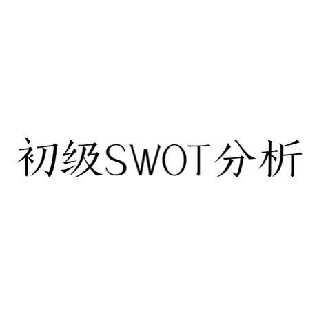 初级SWOT分析