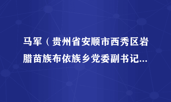 马军（贵州省安顺市西秀区岩腊苗族布依族乡党委副书记、副乡长）