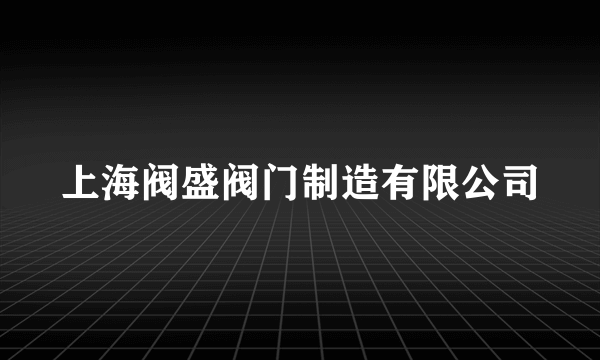 上海阀盛阀门制造有限公司