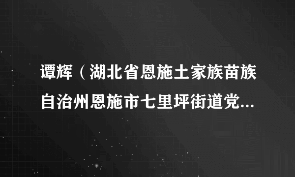 谭辉（湖北省恩施土家族苗族自治州恩施市七里坪街道党工委副书记、办事处主任）