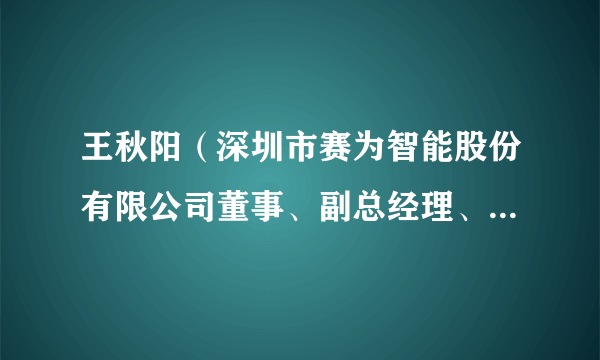 王秋阳（深圳市赛为智能股份有限公司董事、副总经理、人工智能事业群总经理）