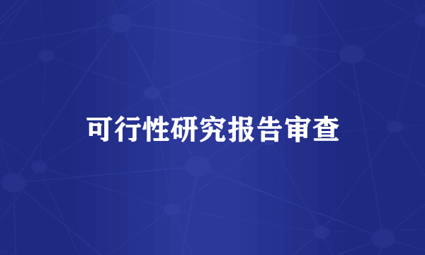 可行性研究报告审查