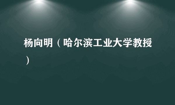 杨向明（哈尔滨工业大学教授）