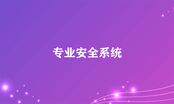 专业安全系统