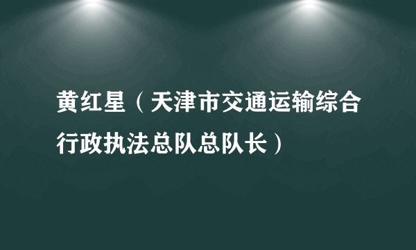 黄红星（天津市交通运输综合行政执法总队总队长）