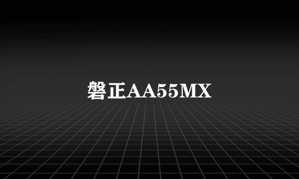 磐正AA55MX