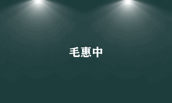 毛惠中