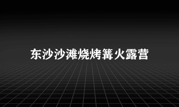 东沙沙滩烧烤篝火露营