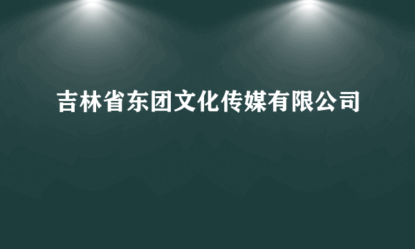 吉林省东团文化传媒有限公司