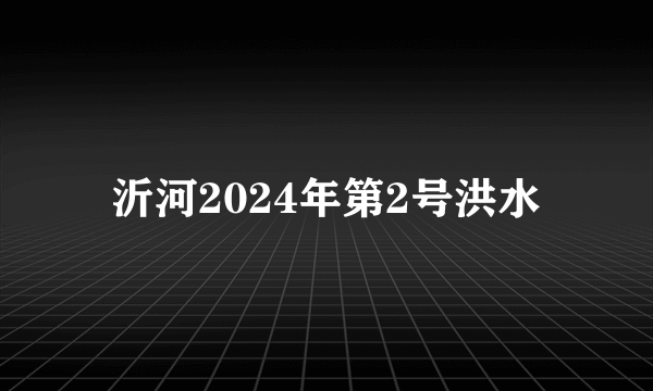 沂河2024年第2号洪水