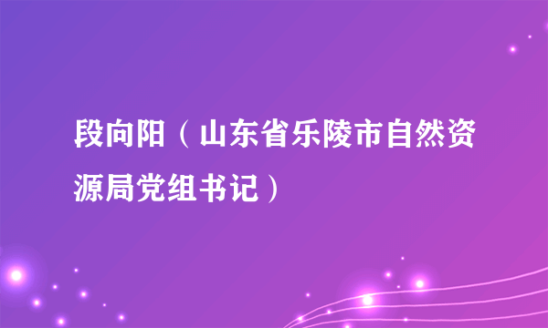 段向阳（山东省乐陵市自然资源局党组书记）