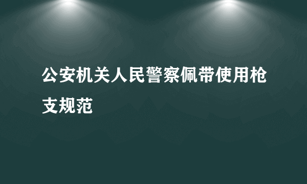 公安机关人民警察佩带使用枪支规范