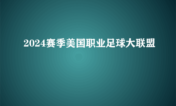 2024赛季美国职业足球大联盟