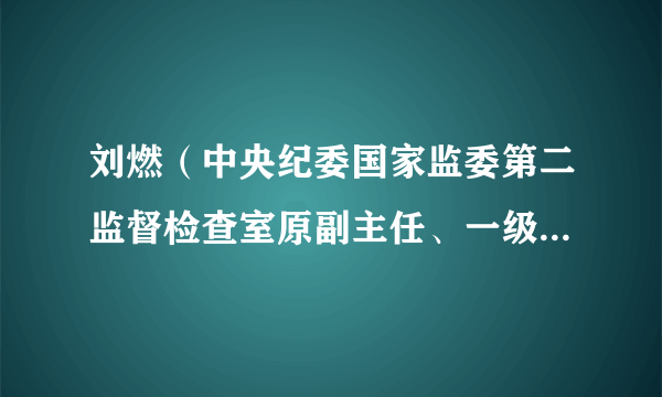 刘燃（中央纪委国家监委第二监督检查室原副主任、一级巡视员）